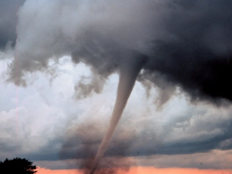 A thin tornado curving down from a wide, dark storm cloud with sunset light beneath